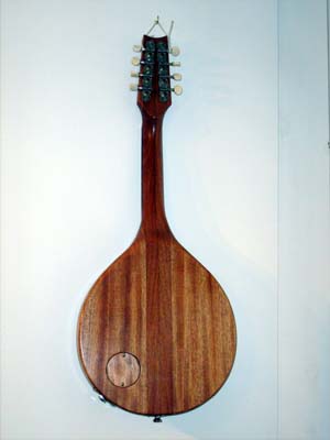 Solid Brazilian mahogany electric mandolin